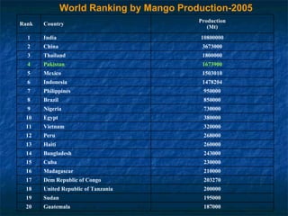 World Ranking by Mango Production-2005 195000 Sudan 19 200000 United Republic of Tanzania 18 203270 Dem Republic of Congo 17 1800000 Thailand 3 950000 Philippines 7 1478204 Indonesia 6 1503010 Mexico 5 1673900 Pakistan 4 187000 Guatemala 20 210000 Madagascar 16 230000 Cuba 15 243000 Bangladesh 14 260000 Haiti 13 268000 Peru 12 320000 Vietnam 11 380000 Egypt 10 730000 Nigeria 9 850000 Brazil 8 3673000 China 2 10800000 India 1 Production (Mt) Country Rank 