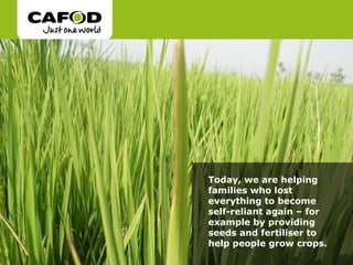 Today, we are helping
families who lost
everything to become
self-reliant again – for
example by providing
seeds and fertiliser to
help people grow crops.
 