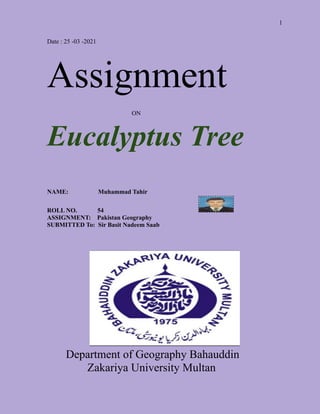 1
Date : 25 -03 -2021
Assignment
ON
Eucalyptus Tree
NAME: Muhammad Tahir
ROLL NO. 54
ASSIGNMENT: Pakistan Geography
SUBMITTED To: Sir Basit Nadeem Saab
Department of Geography Bahauddin
Zakariya University Multan
 