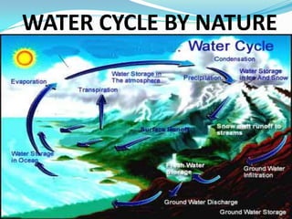 WATER CYCLE BY NATURE