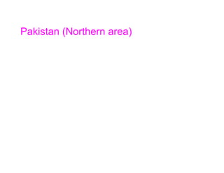 Pakistan (Northern area)
 