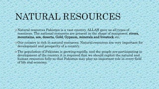 Natural resources Pakistan is a vast country. ALLAH gave us all types of
resources. The national resources are present in the shape of manpower, rivers,
mountains, sea, deserts, Gold, Gypsum, minerals and livestock etc.
Our country is rich in natural resources. Natural resources are very important for
development and prosperity of a country.
The population of Pakistan is growing rapidly, and the people are participating in
development of the country it is required that we should exploit the natural and
human resources fully so that Pakistan may play an important role in every field
of life and economy.
 