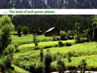 …. The land of lush green planes
 