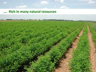 …. Rich in many natural resources
 