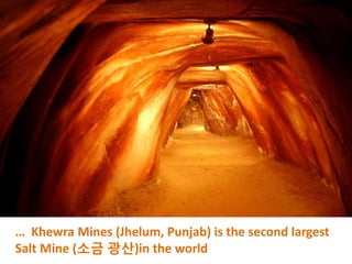 … Khewra Mines (Jhelum, Punjab) is the second largest
Salt Mine (소금 광산)in the world
 