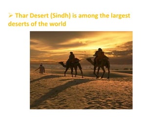  Thar Desert (Sindh) is among the largest
deserts of the world
 