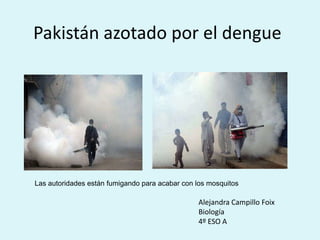 Pakistán azotado por el dengue




Las autoridades están fumigando para acabar con los mosquitos

                                                 Alejandra Campillo Foix
                                                 Biología
                                                 4º ESO A
 