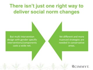 Meta-analysis of the gender outcomes in Pakistan's agricultural evaluations