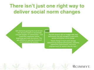 Meta-analysis of the gender outcomes in Pakistan's agricultural evaluations