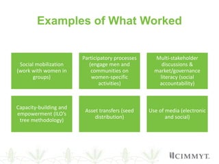 Meta-analysis of the gender outcomes in Pakistan's agricultural evaluations
