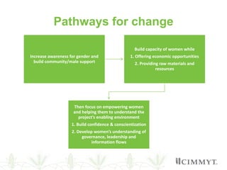 Meta-analysis of the gender outcomes in Pakistan's agricultural evaluations