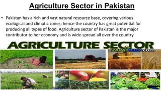 Agriculture Sector of Pakistan | PPTX
