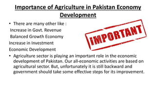 Agriculture Sector of Pakistan | PPTX