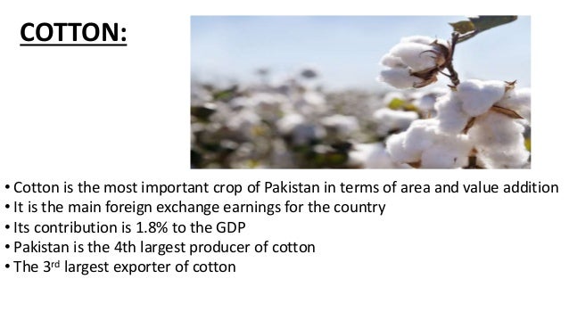 Agriculture Sector Of Pakistan