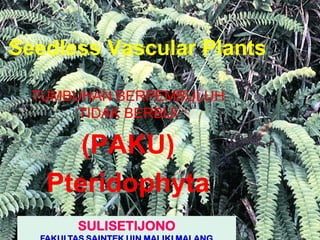 Seedless Vascular Plants
TUMBUHAN BERPEMBULUH
TIDAK BERBIJI
(PAKU)
Pteridophyta
SULISETIJONO
 