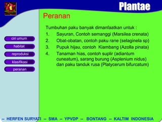 bahan ajar biologi kelas x sma tentang paku | PPT