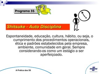 Shitsuke - Auto Disciplina

Espontaneidade, educação, cultura, hábito, ou seja, o
    cumprimento dos procedimentos operacionais,
     ética e padrões estabelecidos pela empresa,
       ambiente, comunidade em geral. Sempre
        considerando-os como um estágio a ser
                    aperfeiçoado.


     A Prática dos 5S
 