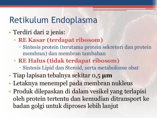 Struktur dan fungsi organel sel