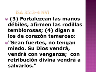 La Palabra Rema ano 2009