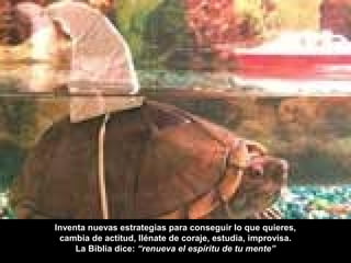 Inventa nuevas estrategias para conseguir lo que quieres,
cambia de actitud, llénate de coraje, estudia, improvisa.
La Biblia dice: “renueva el espíritu de tu mente”
 