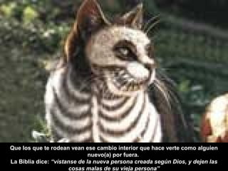 Que los que te rodean vean ese cambio interior que hace verte como alguien
nuevo(a) por fuera.
La Biblia dice: “vístanse de la nueva persona creada según Dios, y dejen las
cosas malas de su vieja persona”
 