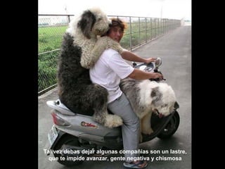 Tal vez debas dejar algunas compañías son un lastre,
que te impide avanzar, gente negativa y chismosa
 