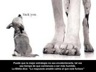 Puede que la mejor estrategia no sea envalentonarte, tal vez
sea tiempo de que comiences a ser más humilde.
La Biblia dice: “La respuesta amable calma al que está furioso”
 