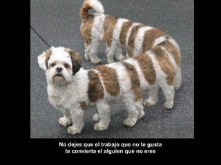 No dejes que el trabajo que no te gusta
te convierta el alguien que no eres
 