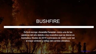 Oxford escoge «Incendio Forestal» como una de las
palabras del año debido a los incendios que se dieron en
Australia a fin...