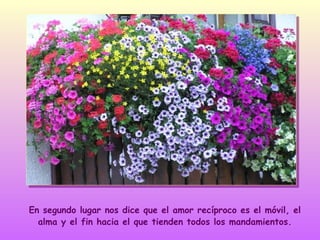 En segundo lugar nos dice que el amor recíproco es el móvil, el
alma y el fin hacia el que tienden todos los mandamientos.

 