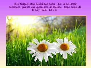 «No tengáis otra deuda con nadie, que la del amor
recíproco, puesto que quien ama al prójimo, tiene cumplida
la Ley (Rom. 13,8)»

 