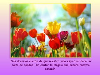 Nos daremos cuenta de que nuestra vida espiritual dará un
salto de calidad. sin contar la alegría que llenará nuestro
corazón.

 