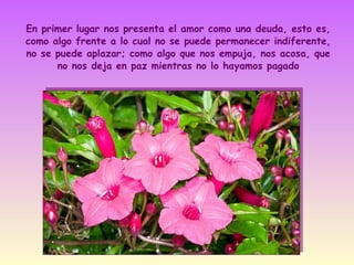 En primer lugar nos presenta el amor como una deuda, esto es,
como algo frente a lo cual no se puede permanecer indiferente,
no se puede aplazar; como algo que nos empuja, nos acosa, que
no nos deja en paz mientras no lo hayamos pagado

 