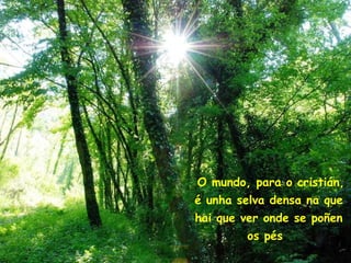 O mundo, para o cristián, é unha selva densa na que hai que ver onde se poñen os pés .   