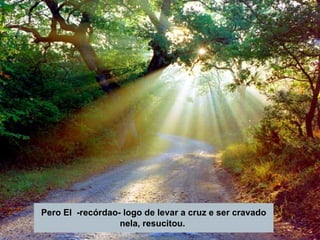 Pero El  -recórdao- logo de levar a cruz e ser cravado nela, resucitou.   