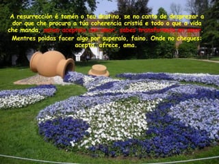 A resurrección é tamén o teu destino, se no canto de desprezar a dor que che procura a túa coherencia cristiá e todo o que a vida che manda,  sabes aceptalo con amor, sabes transformalo en amor .  Mentres poidas facer algo por superalo, faino. Onde no chegues: acepta, ofrece, ama.   