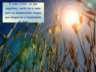 E como Cristo, ao que seguiches, serás luz e amor para as innumerables chagas que desgarran á humanidade de hoxe 