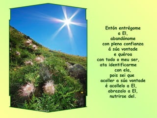 Entón entrégome a El, abandónome con plena confianza á súa vontade e quéroa con todo o meu ser,  ata identificarme  con ela, pois sei que  acoller a súa vontade é acollelo a El,  abrazalo a El, nutrirse del. 