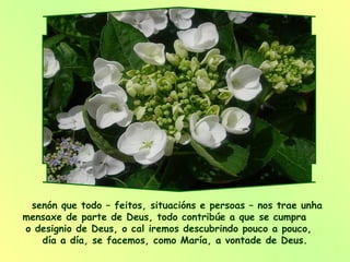 senón que todo – feitos, situacións e persoas – nos trae unha mensaxe de parte de Deus, todo contribúe a que se cumpra  o designio de Deus, o cal iremos descubrindo pouco a pouco,  día a día, se facemos, como María, a vontade de Deus.  
