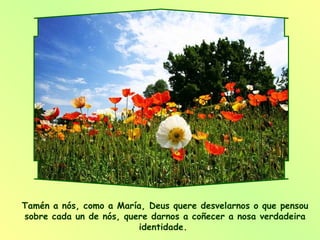 Tamén a nós, como a María, Deus quere desvelarnos o que pensou sobre cada un de nós, quere darnos a coñecer a nosa verdadeira identidade.  