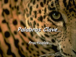 Palabras Clave…

   Practicalas….
 