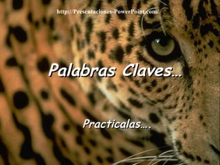 Palabras Claves… Practicalas…. http://Presentaciones-PowerPoint.com/ 