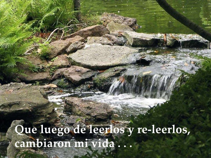Palabras