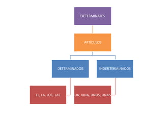 DETERMINATES
ARTÍCULOS
DETERMINADOS INDERTERMINADOS
EL, LA, LOS, LAS UN, UNA, UNOS, UNAS