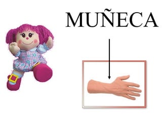MUÑECA 