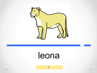 leona
 