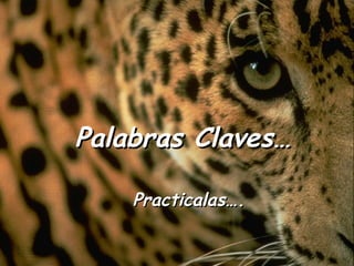 Palabras Claves… Practicalas…. 