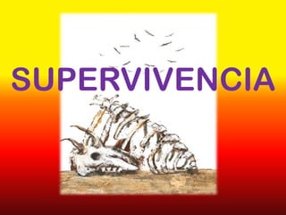 SUPERVIVENCIA
 