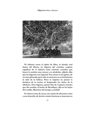 11
Higuera (A Rosi y Manolo)
Ni inhiesta como el ciprés de Silos, ni dorada cual
álamo del Duero, tú, higuera del castañar, respiras
orgullosa de tu dulzura entre enormes castaños que
hacen la sombra muy oscura a tu alrededor. ¿Quién dijo
que las higueras son ásperas? Tus ramas sí son grises, de
un tono plateado; pero sólo tú encierras en tu lechetrezna
la miel de la belleza. Poco te importa no poseer la
fortaleza de la encina ni desprender los olores de la
albahaca. Eres higuera, quizás hija de la planta moruna
que dio nombre al barrio de Benafique, allá en los bajos
del castillo. Misterios del tiempo, ¿verdad?
Te observo muy de cerca, con ansias de abrazarte como
a una doncella, de decirte cuánto hermosa te muestras en
 