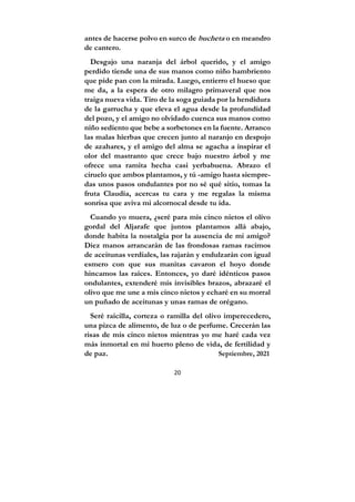 20
antes de hacerse polvo en surco de bucheta o en meandro
de cantero.
Desgajo una naranja del árbol querido, y el amigo
perdido tiende una de sus manos como niño hambriento
que pide pan con la mirada. Luego, entierro el hueso que
me da, a la espera de otro milagro primaveral que nos
traiga nueva vida. Tiro de la soga guiada por la hendidura
de la garrucha y que eleva el agua desde la profundidad
del pozo, y el amigo no olvidado cuenca sus manos como
niño sediento que bebe a sorbetones en la fuente. Arranco
las malas hierbas que crecen junto al naranjo en despojo
de azahares, y el amigo del alma se agacha a inspirar el
olor del mastranto que crece bajo nuestro árbol y me
ofrece una ramita hecha casi yerbabuena. Abrazo el
ciruelo que ambos plantamos, y tú -amigo hasta siempre-
das unos pasos ondulantes por no sé qué sitio, tomas la
fruta Claudia, acercas tu cara y me regalas la misma
sonrisa que aviva mi alcornocal desde tu ida.
Cuando yo muera, ¿seré para mis cinco nietos el olivo
gordal del Aljarafe que juntos plantamos allá abajo,
donde habita la nostalgia por la ausencia de mi amigo?
Diez manos arrancarán de las frondosas ramas racimos
de aceitunas verdiales, las rajarán y endulzarán con igual
esmero con que sus manitas cavaron el hoyo donde
hincamos las raíces. Entonces, yo daré idénticos pasos
ondulantes, extenderé mis invisibles brazos, abrazaré el
olivo que me une a mis cinco nietos y echaré en su morral
un puñado de aceitunas y unas ramas de orégano.
Seré raicilla, corteza o ramilla del olivo imperecedero,
una pizca de alimento, de luz o de perfume. Crecerán las
risas de mis cinco nietos mientras yo me haré cada vez
más inmortal en mi huerto pleno de vida, de fertilidad y
de paz. Septiembre, 2021
 